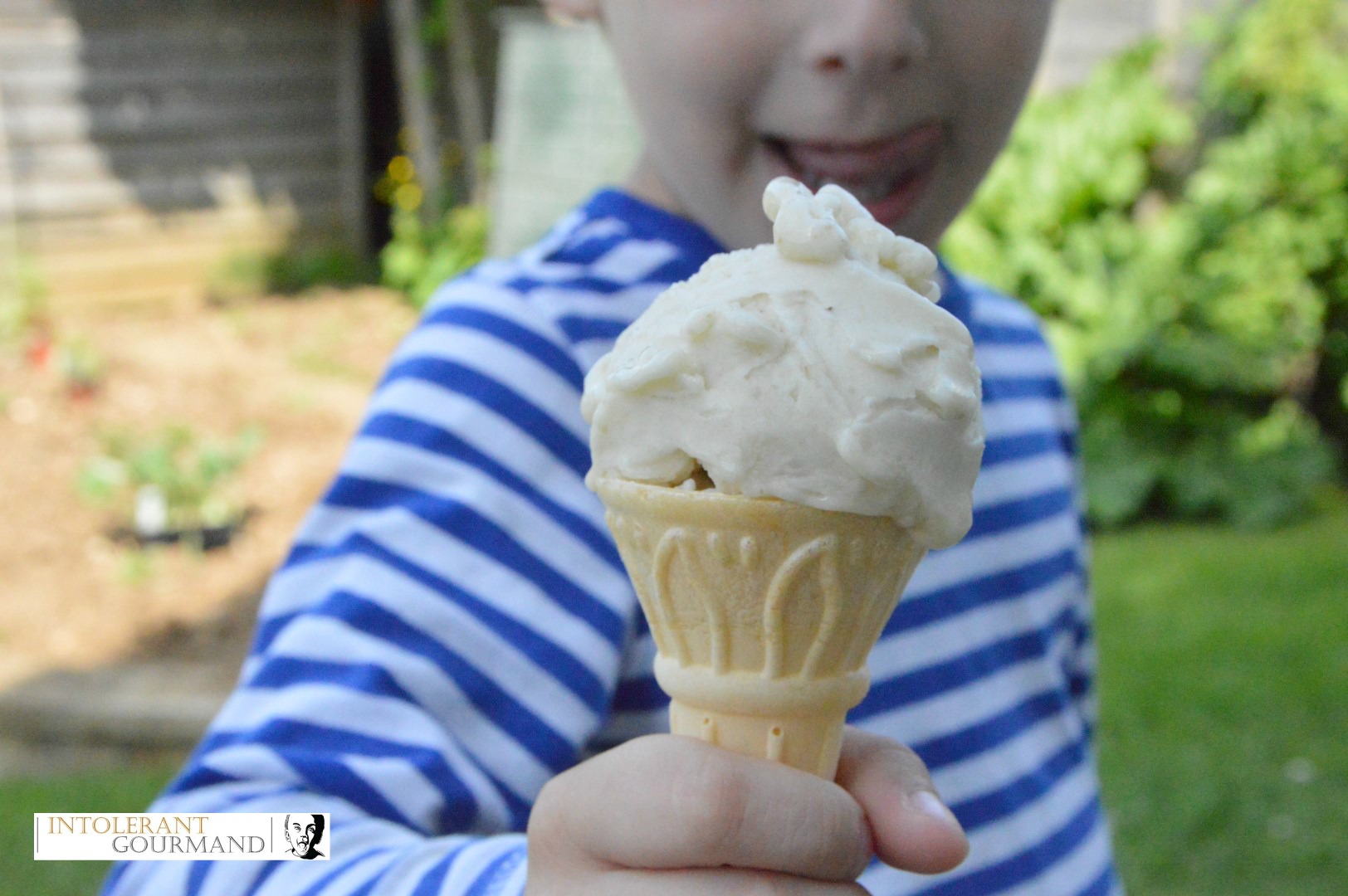 Deliciously creamy and healthy 2 ingredient free-from ice cream