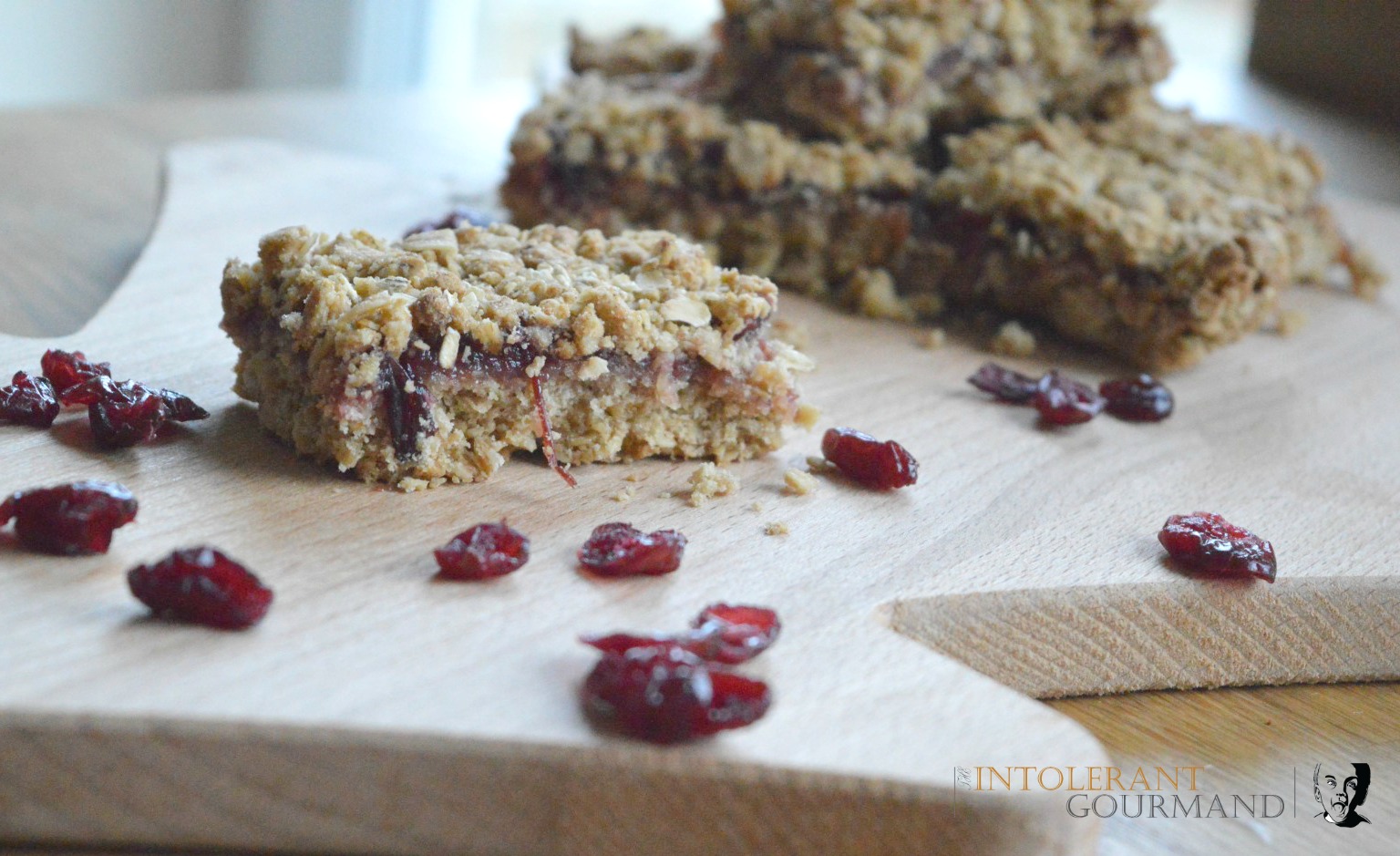 Cranberry Crumble Bar - a delicious christmas treat that's gluten-free, nut-free, wheat-free, egg-free, dairy-free and tastes delicious! www.intolerantgourmand.com