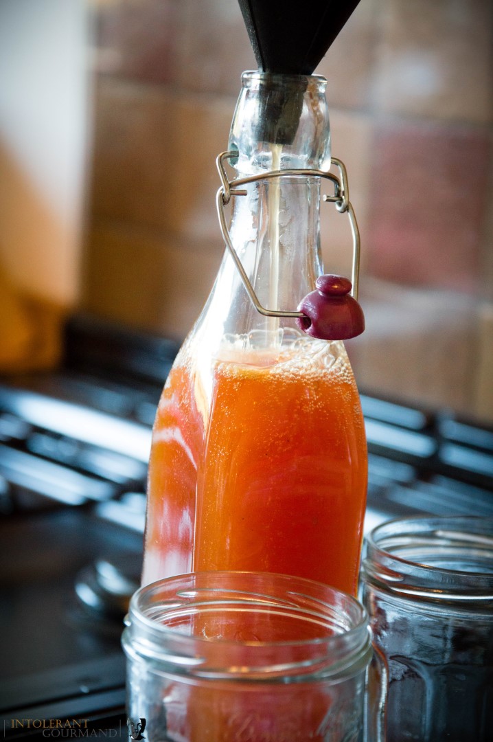 Rosehip Syrup - A fruity syrup with a comforting and warming flavour. Perfect on it's own, over pancakes or ice cream, stirred into porridge and so much more! www.intolerantgourmand.com