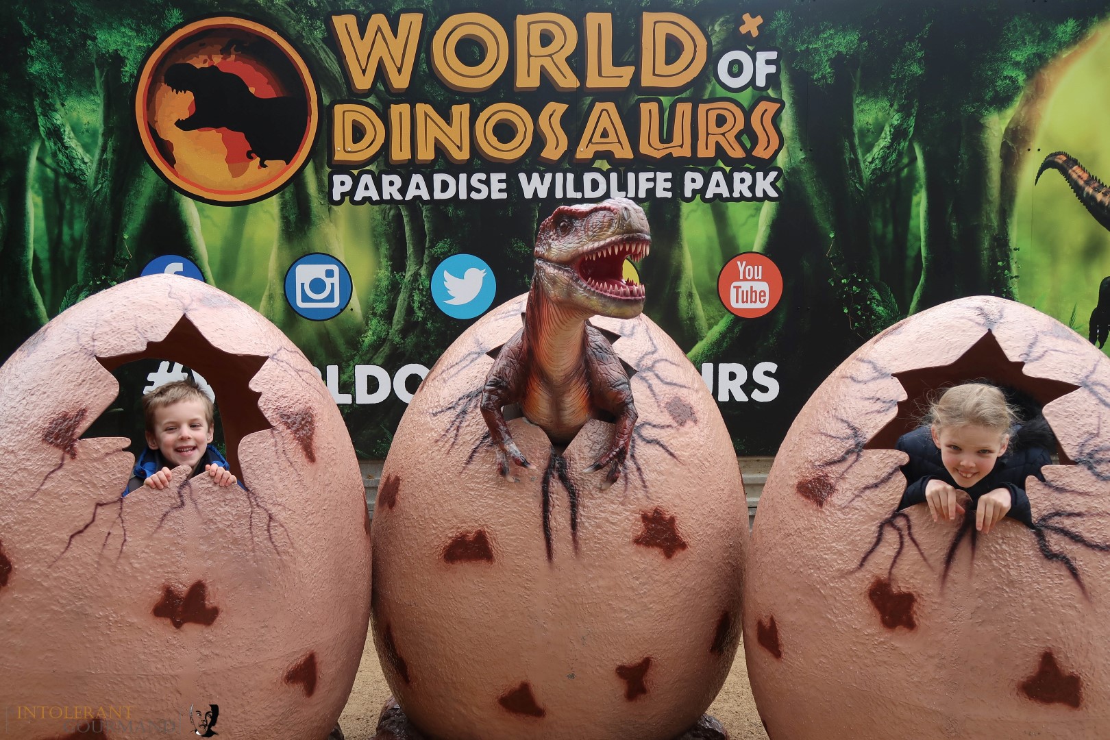 World of Dinosaurs - part of Paradise Wildlife Park! It's an enclosure packed with 30 life size, moving and animated dinosaurs, featuring T-Rex, Stegosaurus, Tricerotops and more! It's a wonderful family day out with lots to explore! www.intolerantgourmand,com