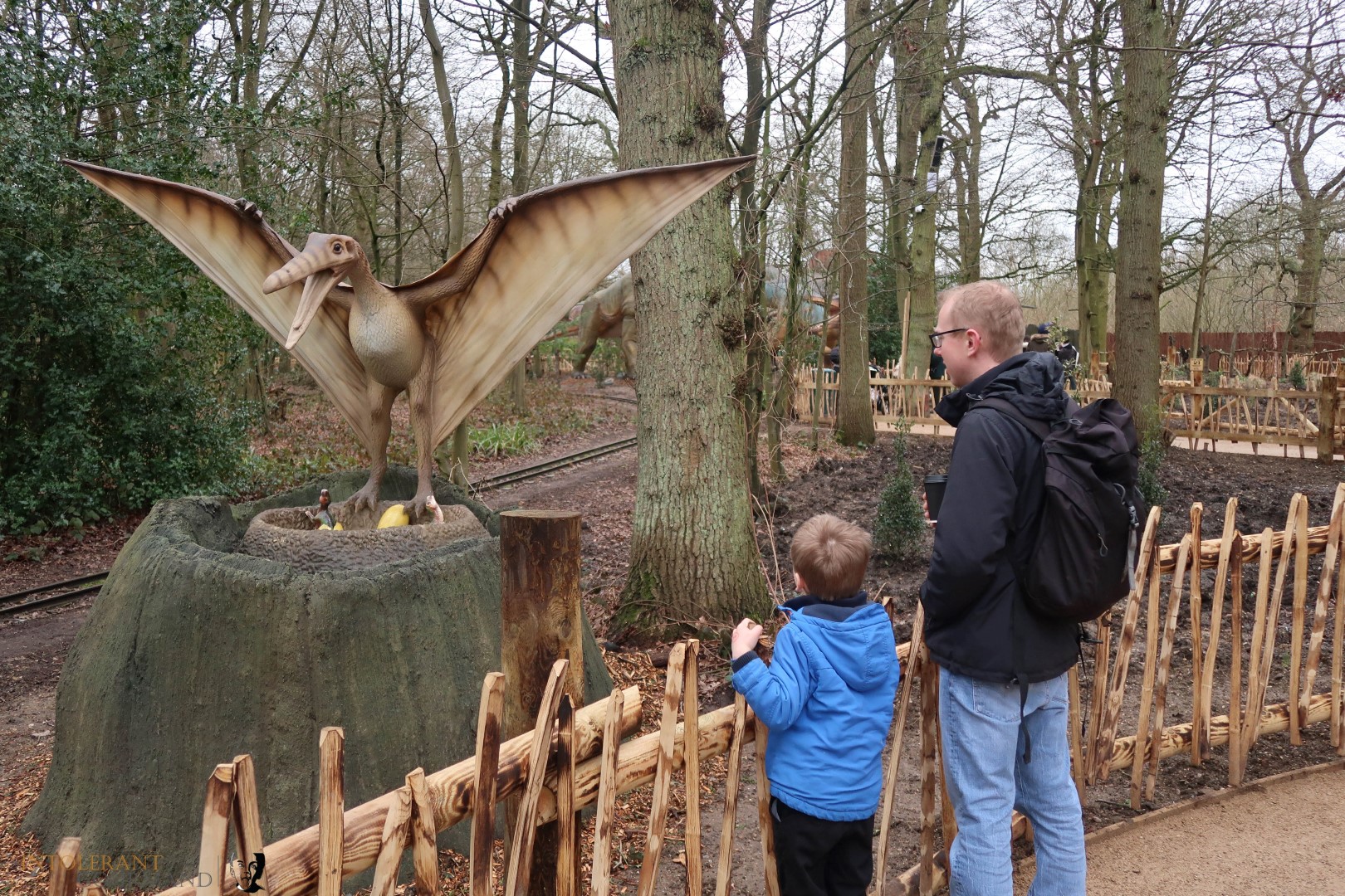 World of Dinosaurs - part of Paradise Wildlife Park! It's an enclosure packed with 30 life size, moving and animated dinosaurs, featuring T-Rex, Stegosaurus, Tricerotops and more! It's a wonderful family day out with lots to explore! www.intolerantgourmand,com