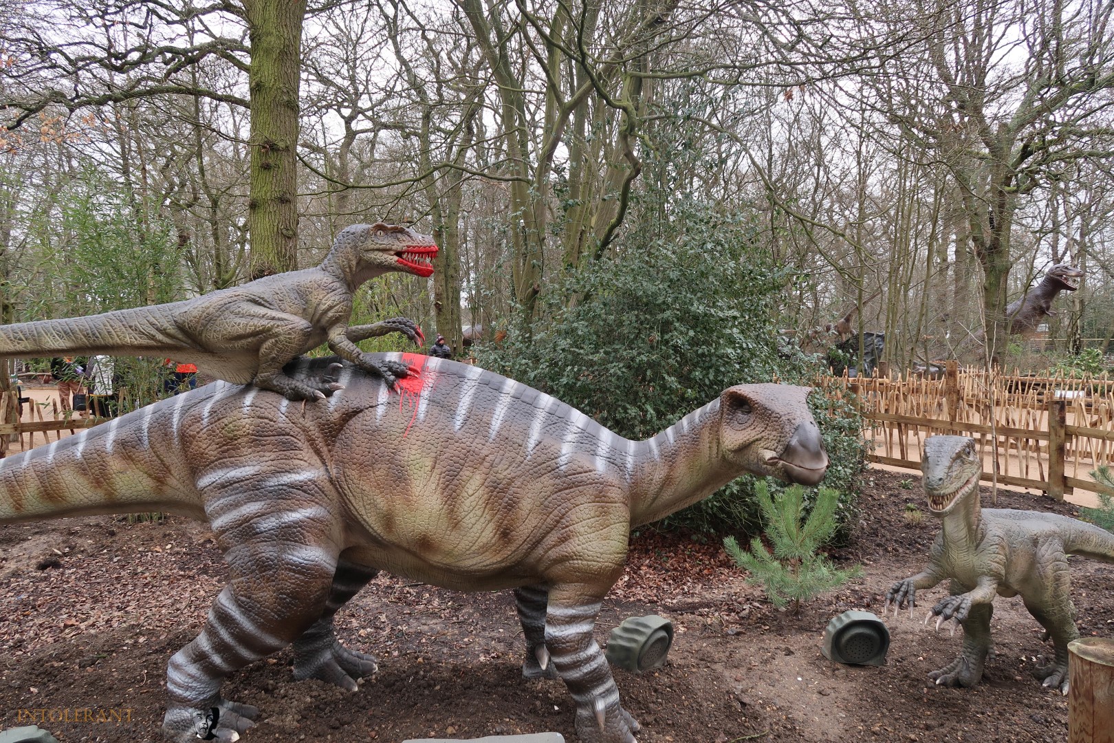 World of Dinosaurs - part of Paradise Wildlife Park! It's an enclosure packed with 30 life size, moving and animated dinosaurs, featuring T-Rex, Stegosaurus, Tricerotops and more! It's a wonderful family day out with lots to explore! www.intolerantgourmand,com