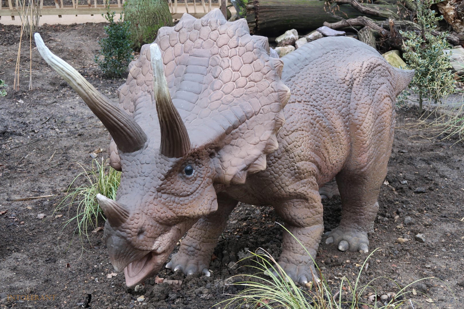 World of Dinosaurs - part of Paradise Wildlife Park! It's an enclosure packed with 30 life size, moving and animated dinosaurs, featuring T-Rex, Stegosaurus, Tricerotops and more! It's a wonderful family day out with lots to explore! www.intolerantgourmand,com