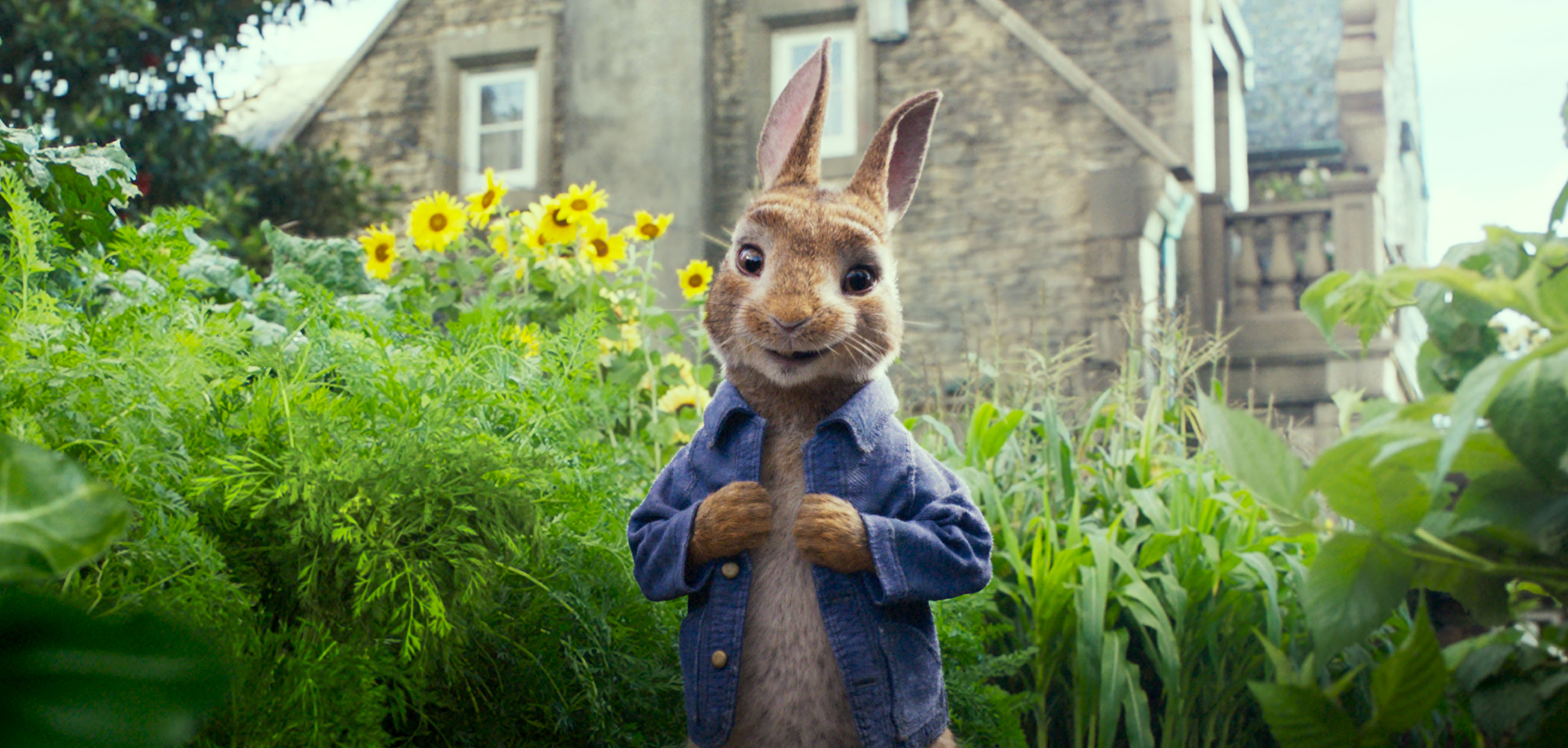 Peter Rabbit Movie - when using allergies as a means of bullying. This is NOT ok! www.intolerantgourmand.com